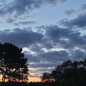 Meet your Posher, Corey v